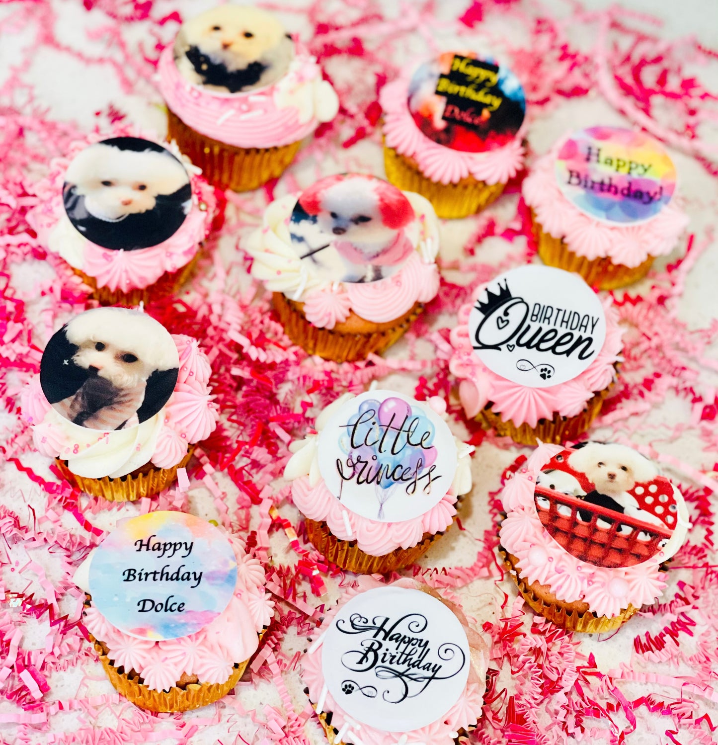 selfie dog cupcakes, selfie cookies, logo cupcakes