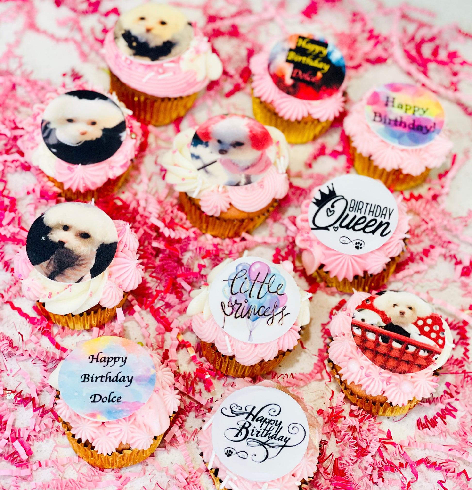 selfie dog cupcakes, selfie cookies, logo cupcakes